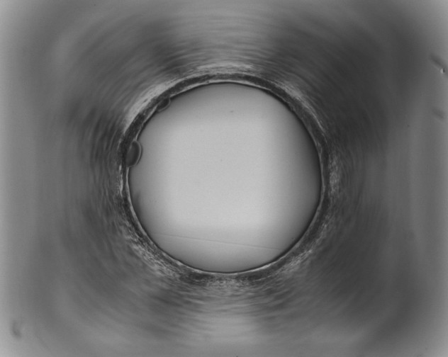 X0000100760973200807171338