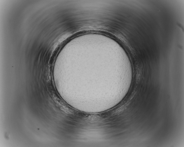 X0000100760974200807171338