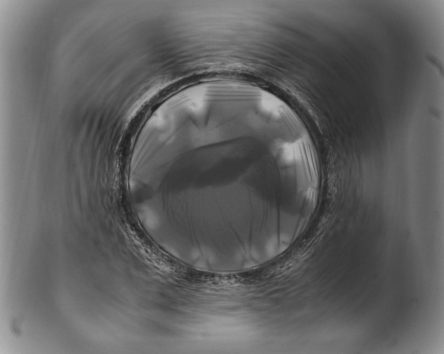 X0000100760975200807171338