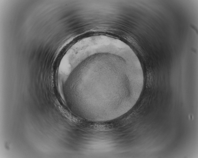 X0000100760976200807171338