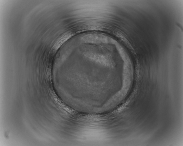 X0000100760977200807171338