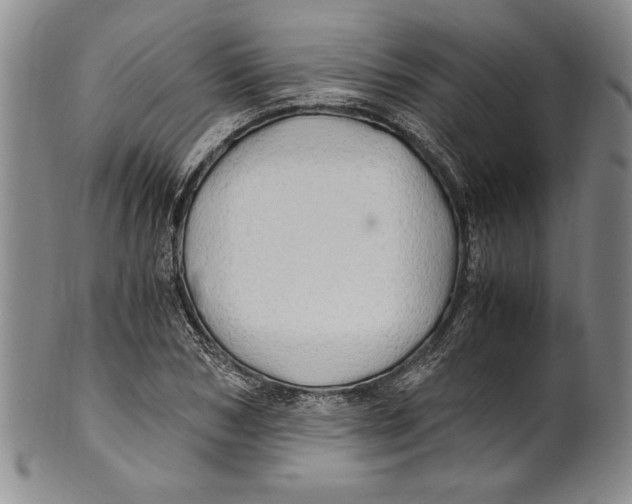X0000100760978200807171338