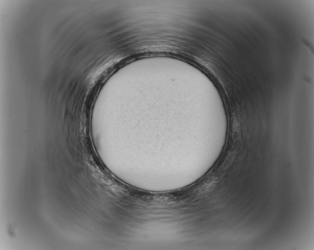 X0000100760979200807171338