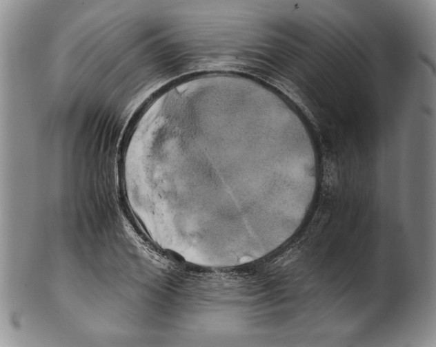 X0000100760980200807171338
