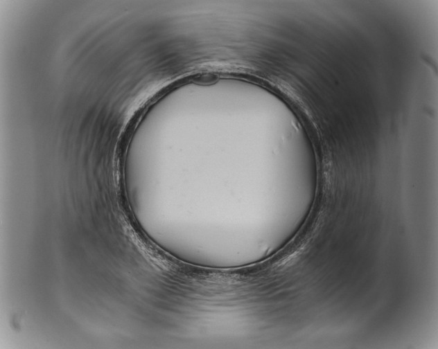X0000100760981200807171338