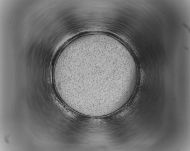 X0000100760982200807171338