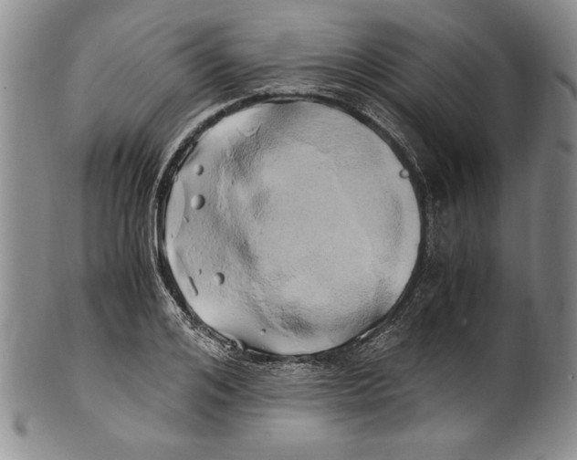 X0000100760984200807171338