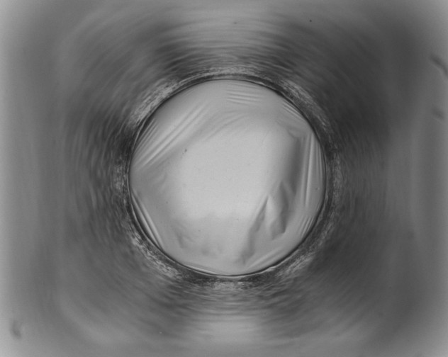 X0000100760985200807171338
