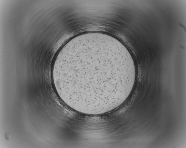 X0000100760986200807171338