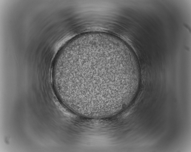X0000100760987200807171338