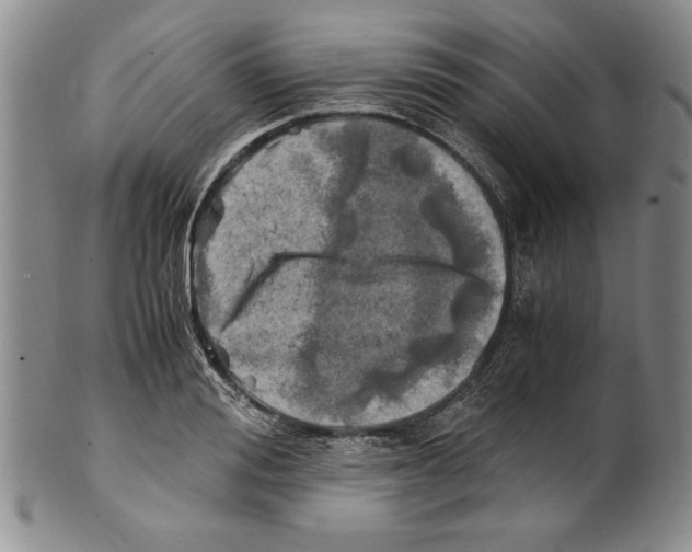 X0000100760988200807171338