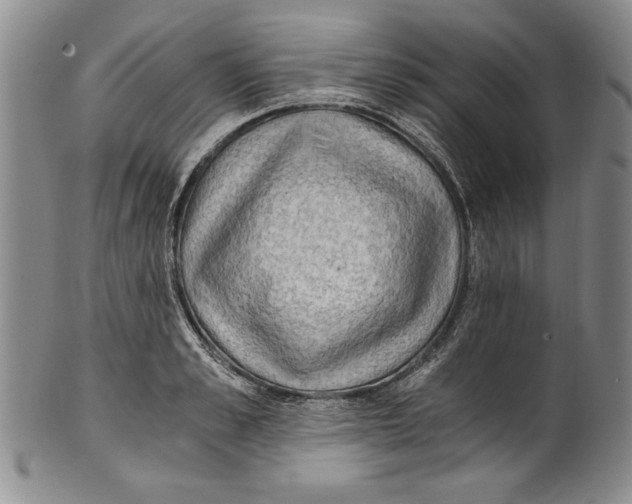 X0000100760989200807171338