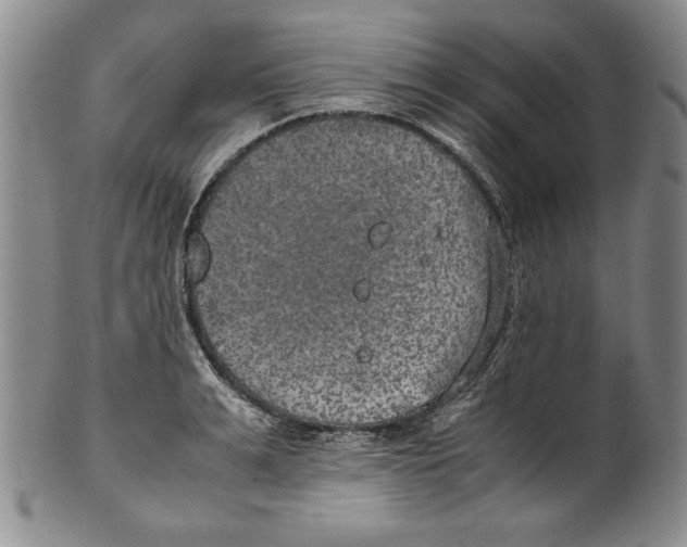 X0000100760991200807171338