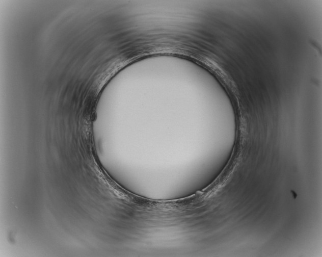 X0000100760993200807171338