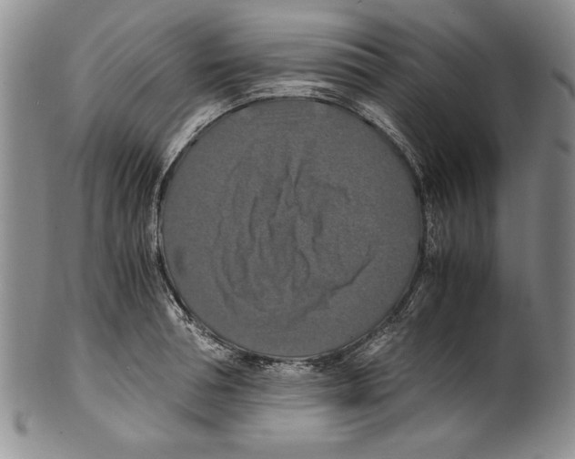 X0000100760994200807171338