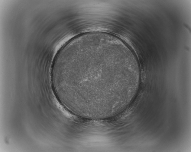 X0000100760995200807171337