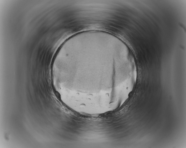 X0000100760996200807171337