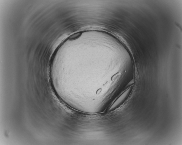 X0000100760997200807171337