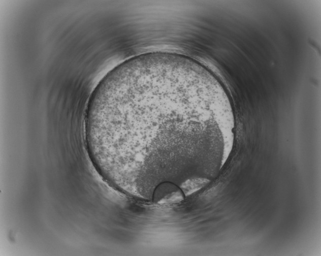 X0000100760999200807171337