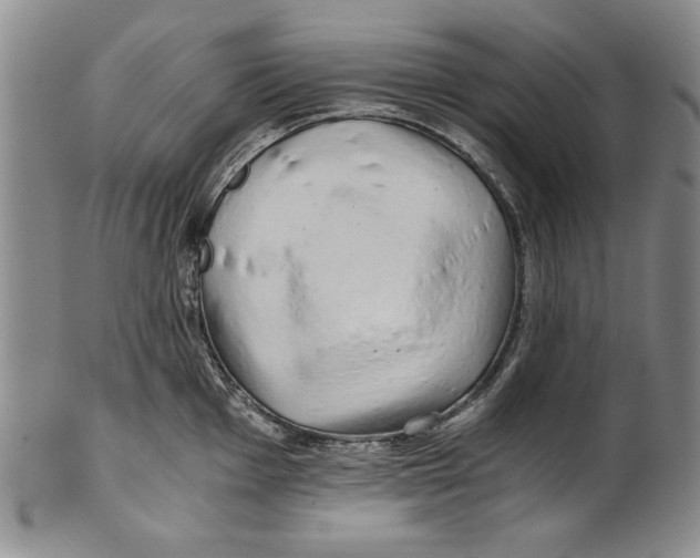 X0000100761001200807171337