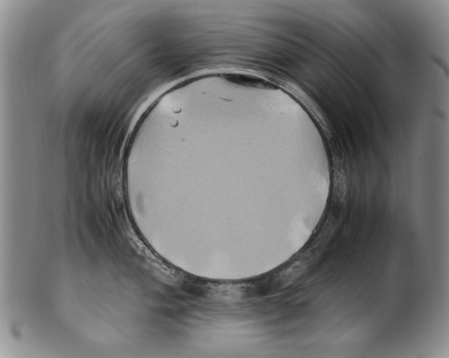 X0000100761004200807171337