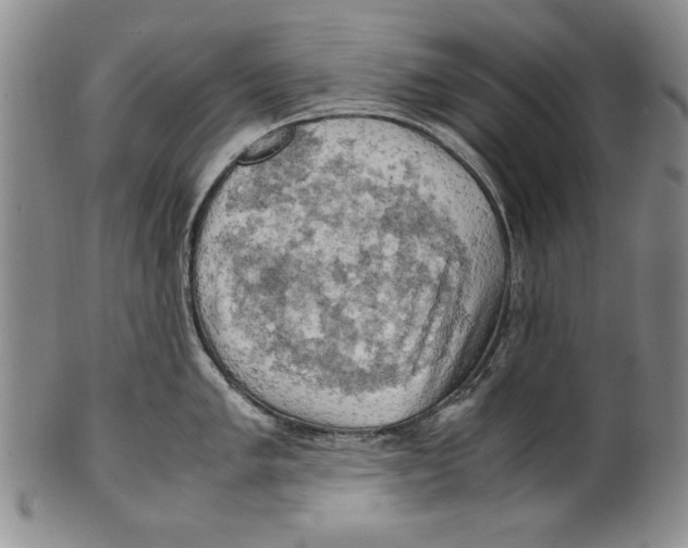 X0000100761005200807171337