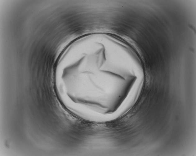 X0000100761006200807171337