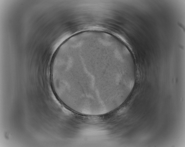 X0000100761007200807171337