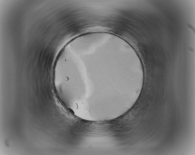 X0000100761008200807171337