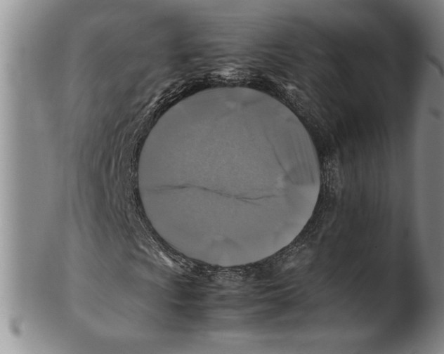 X0000100761009200807171337