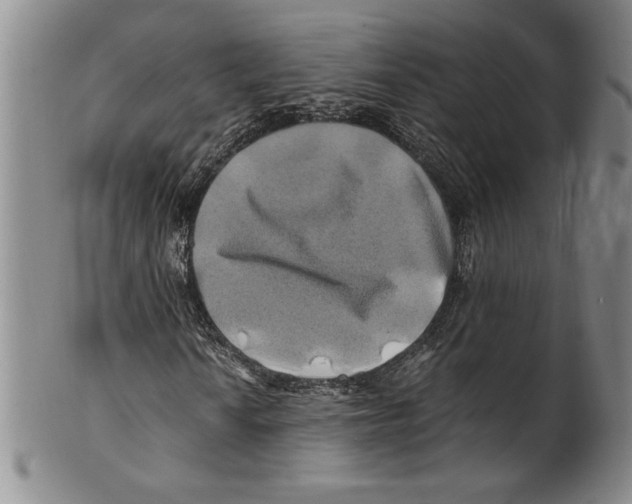X0000100761010200807171337