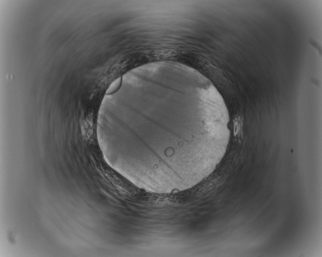 X0000100761011200807171337