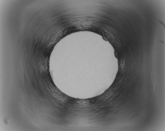 X0000100761012200807171337