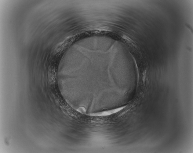 X0000100761014200807171337