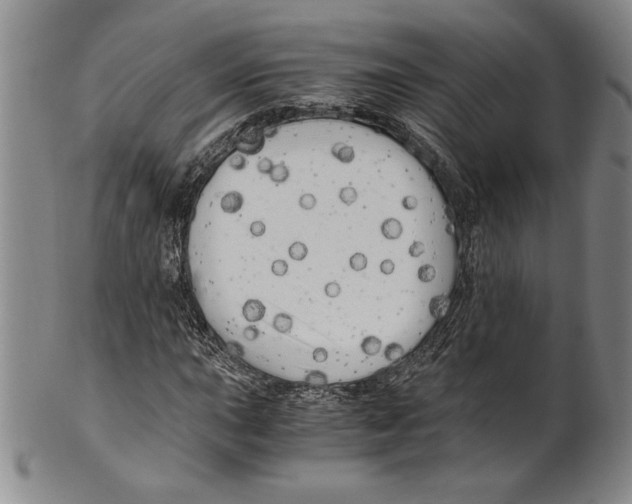 X0000100761015200807171337