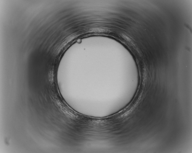 X0000100761017200807171337