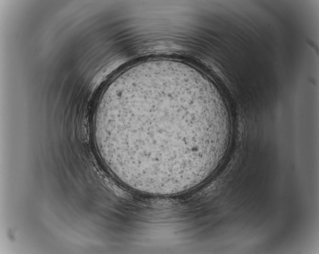 X0000100761018200807171337
