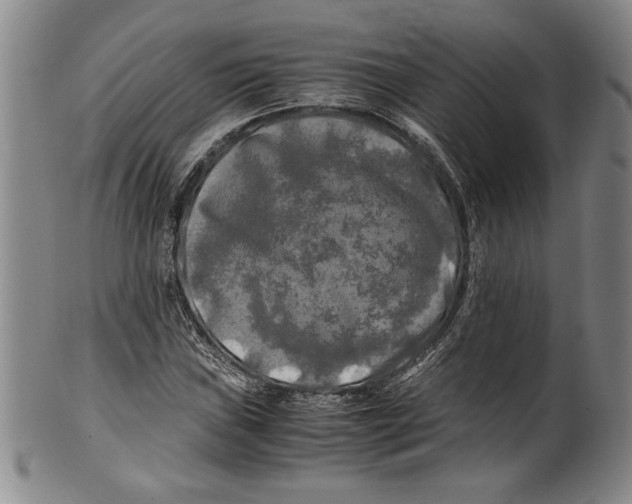 X0000100761019200807171337
