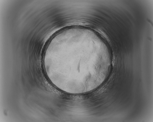 X0000100761020200807171337