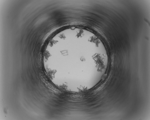 X0000100761021200807171337