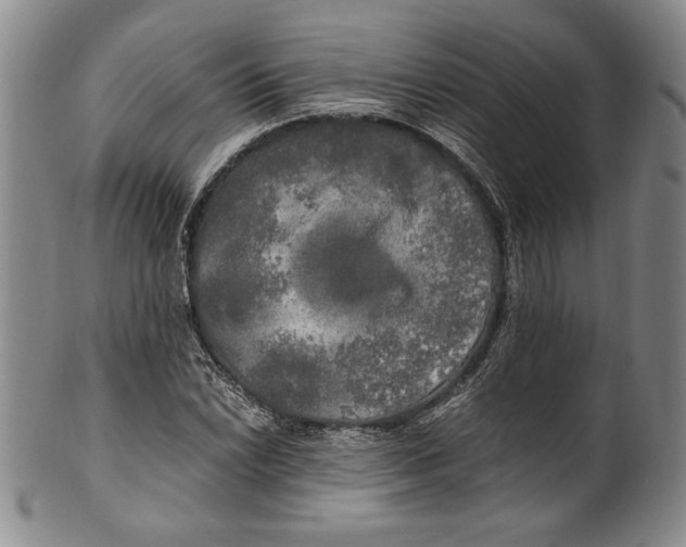 X0000100761022200807171337