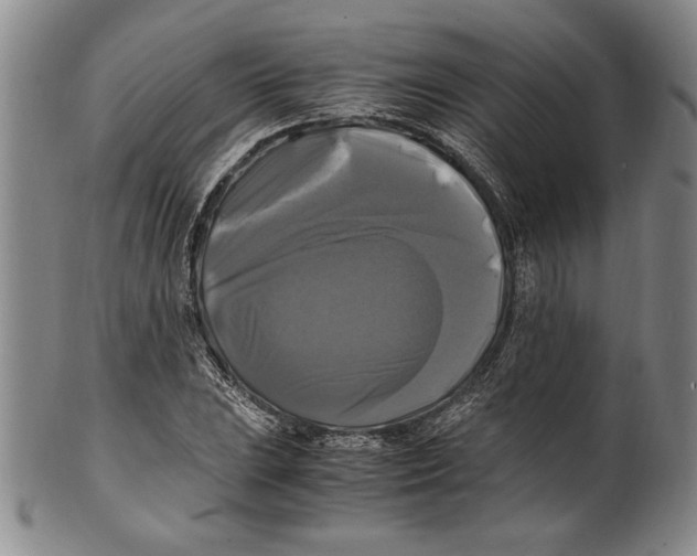 X0000100761023200807171337