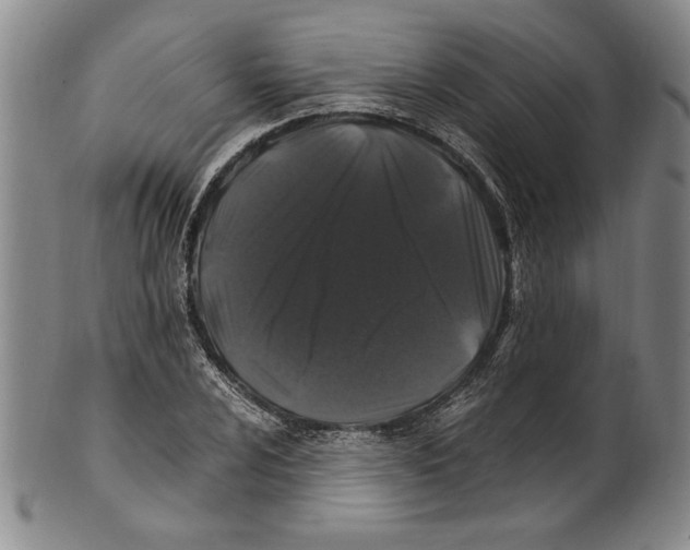 X0000100761024200807171337