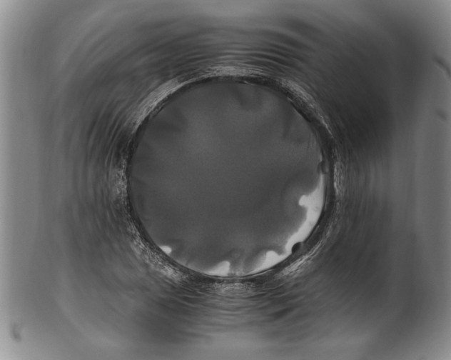 X0000100761025200807171337