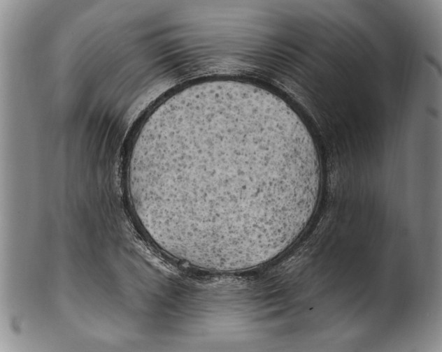 X0000100761026200807171337