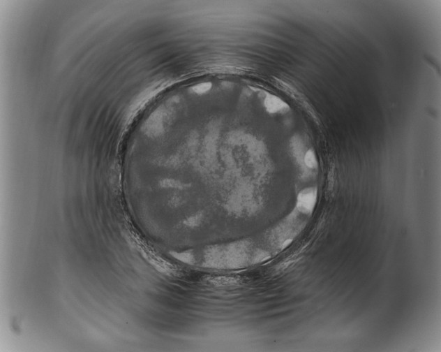 X0000100761027200807171337