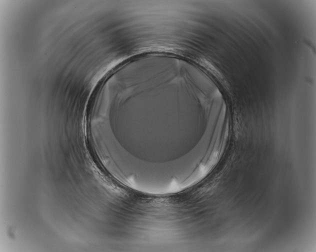 X0000100761028200807171337
