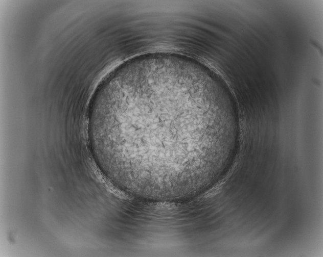 X0000100761029200807171337