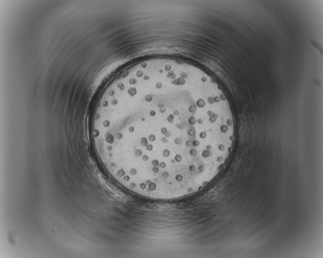 X0000100761030200807171337