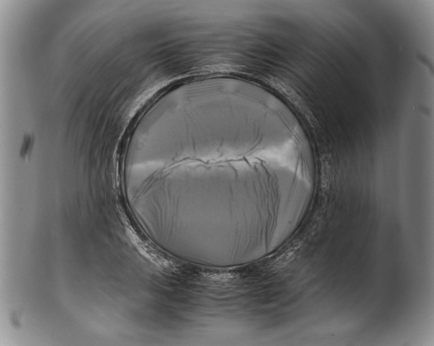 X0000100761031200807171337